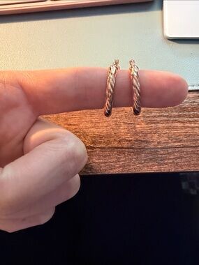 14K Rose Gold Hoop Earrings
